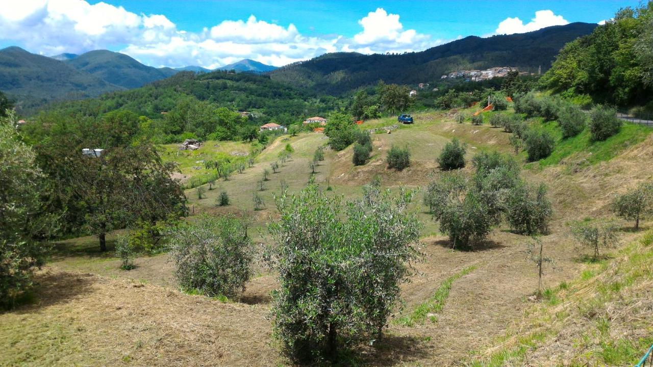 Agriturismo Tenuta Valletti. Sesta Godano Exterior foto